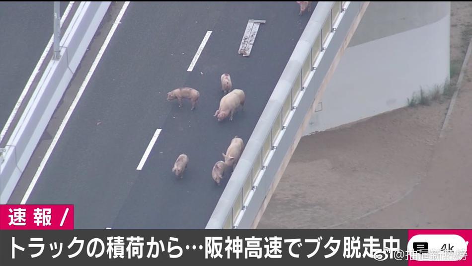 黄色精品