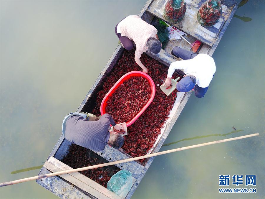 天堂网亚洲