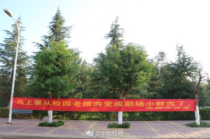 白洁被五个人玩一夜