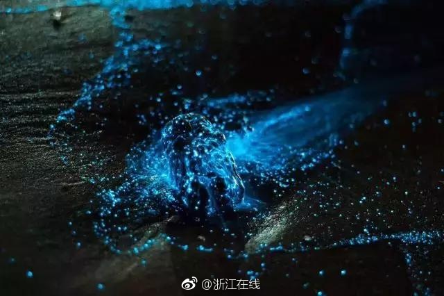 嘿軍團