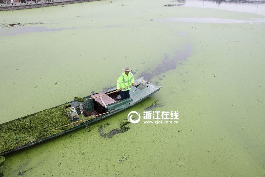胸大的邻居阿 水野朝阳