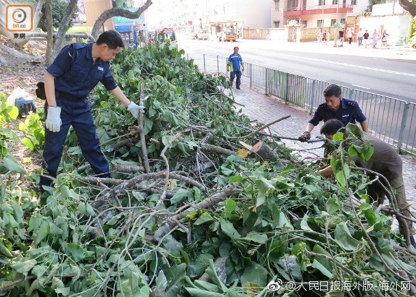 动漫火影忍者