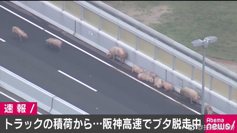 九一香蕉视频