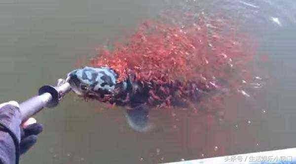 中国三级黄色毛片