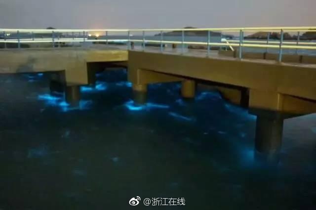 Free白嫩16Seⅹ性Hd处大白腚