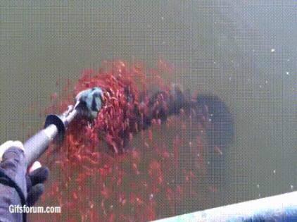 欧美一级婬妇喷水片
