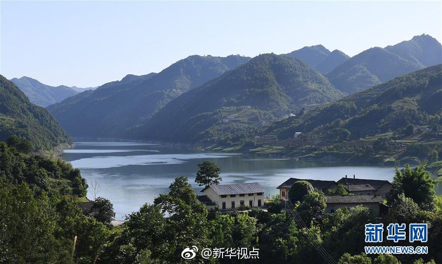 我想找个中国美女日逼吗快点
