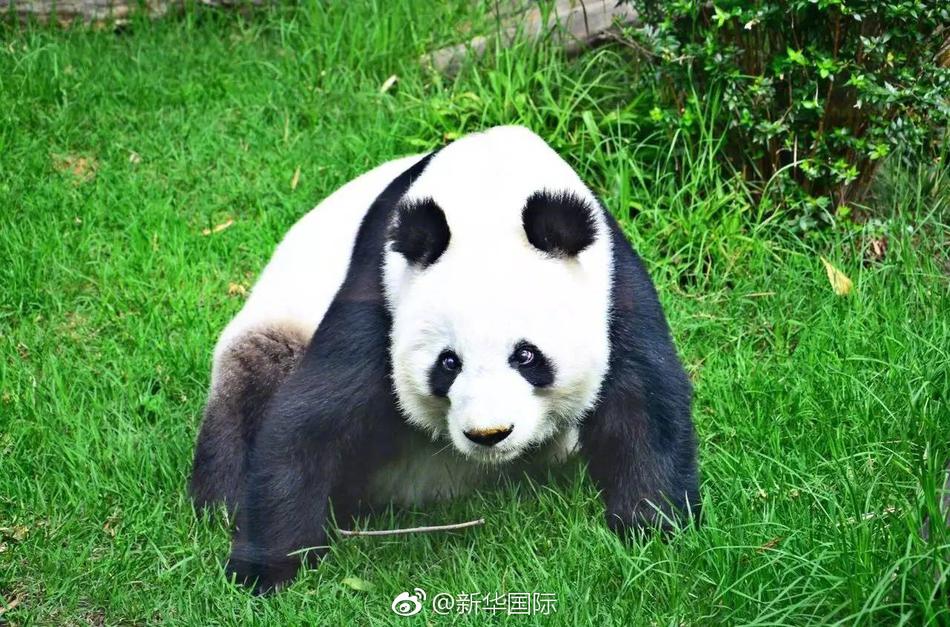 扣逼软件