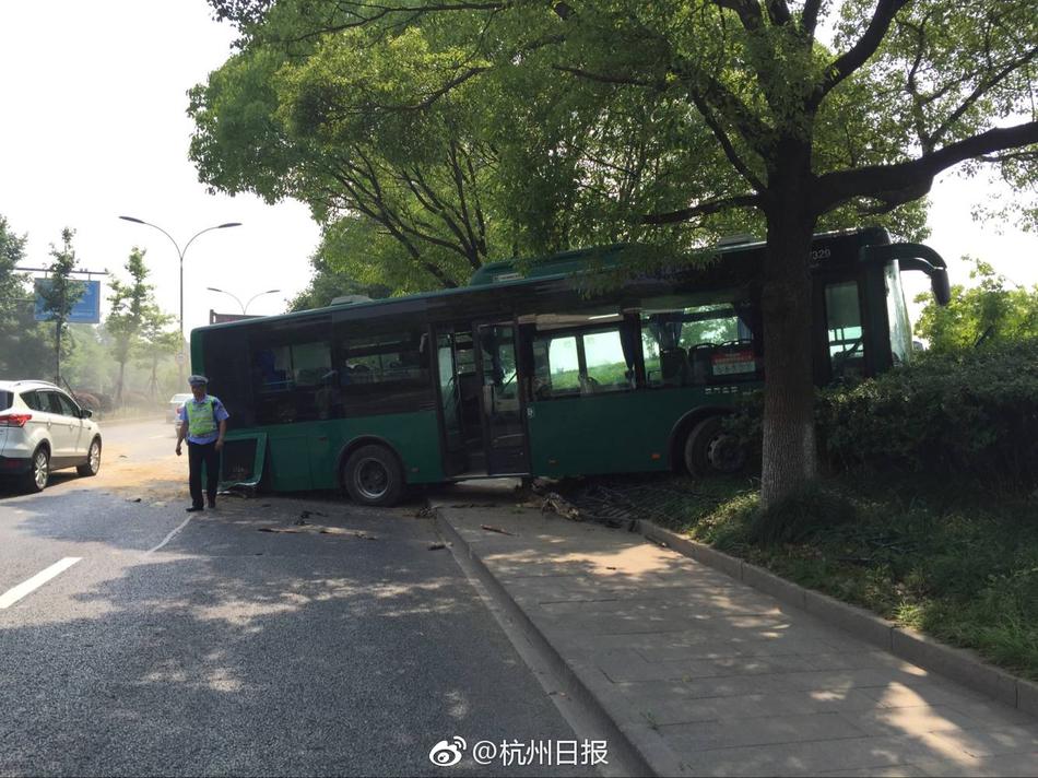 成人福利污导航秘