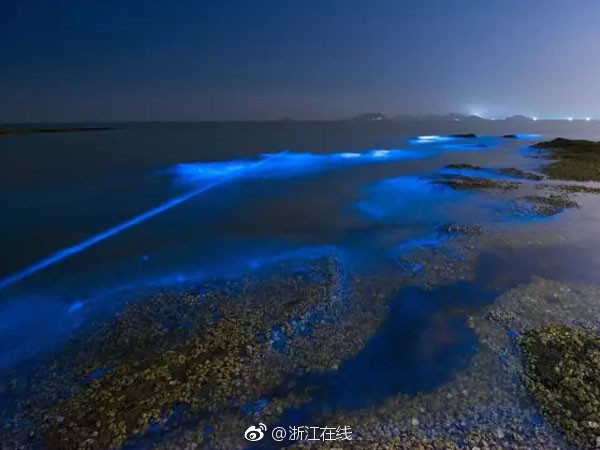午夜精品老少配