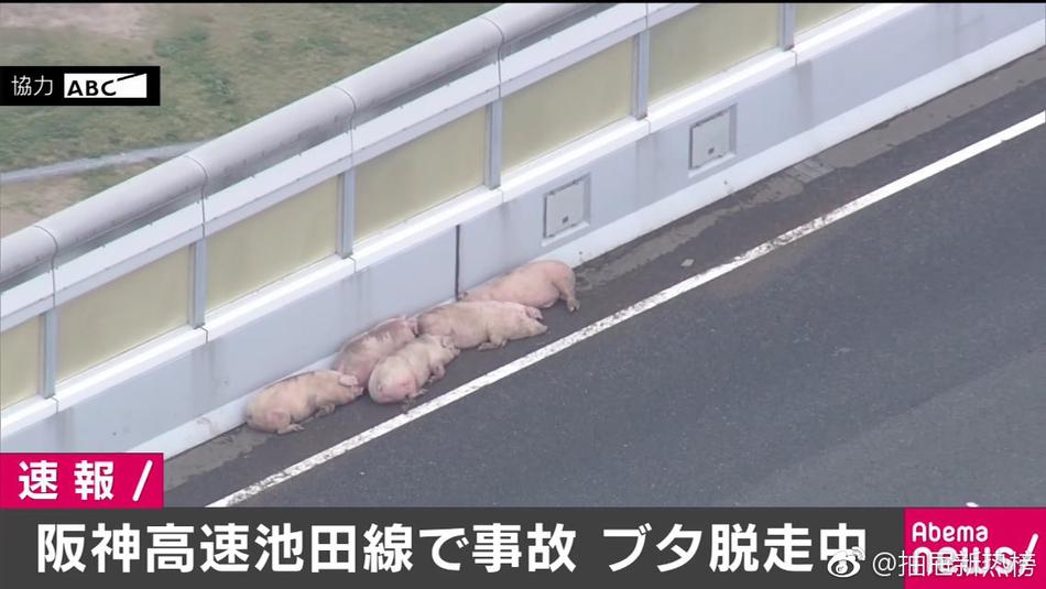 免费看黄色视频