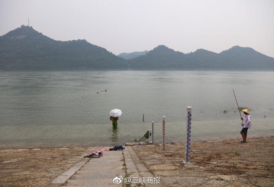 黄色视频在线观看免费