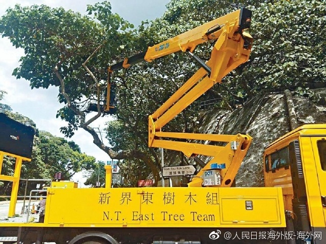 免费黄色Av电影网站