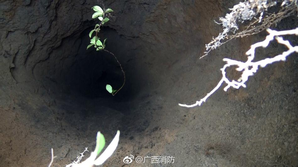 一级毛片范冰冰视频