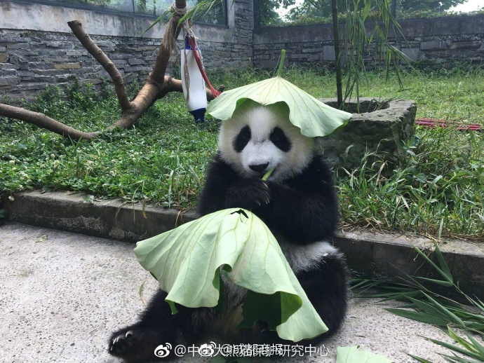 夜夜操夜夜爽