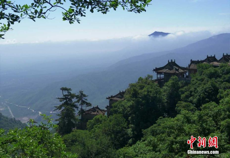 伊人久久综合