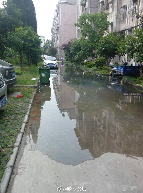 羞羞答答网站