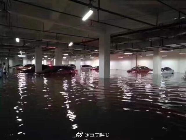 欧美3级片