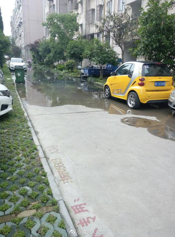 氣象主播