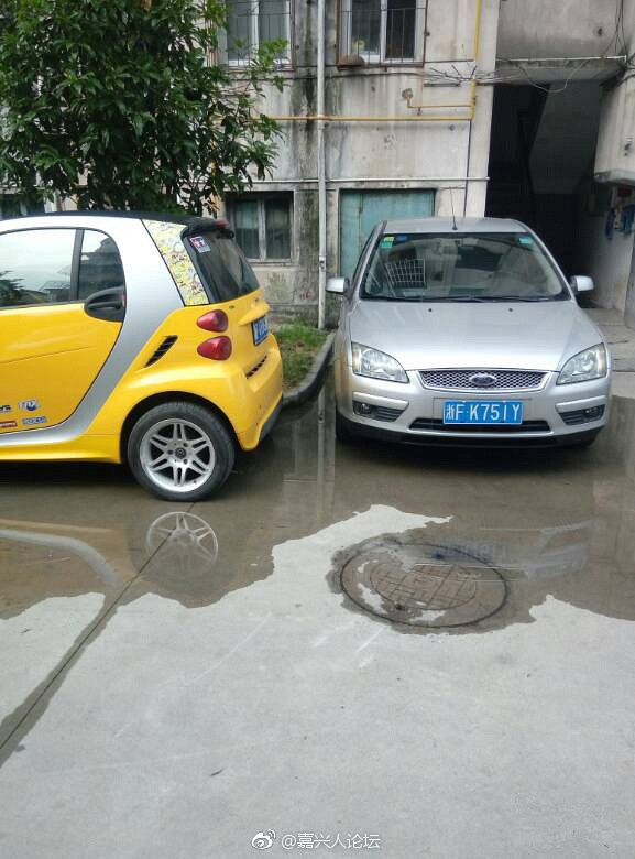 舒琪性黄片