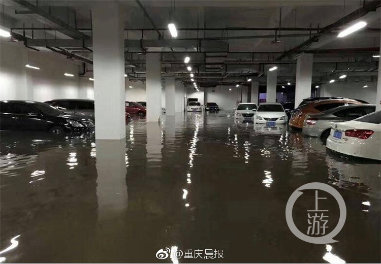 魅影APP下载安装