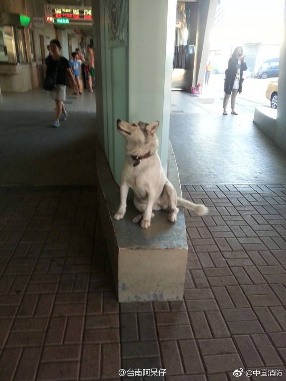 超碰偷拍