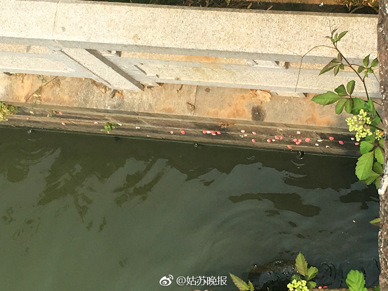 《小黄高清无码》
