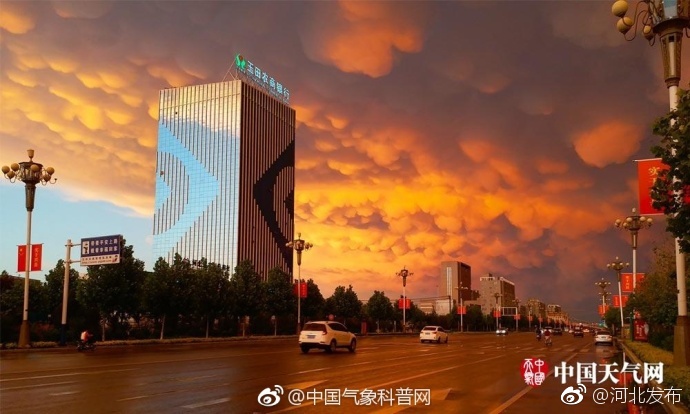 国产精品爽爽久久久久久