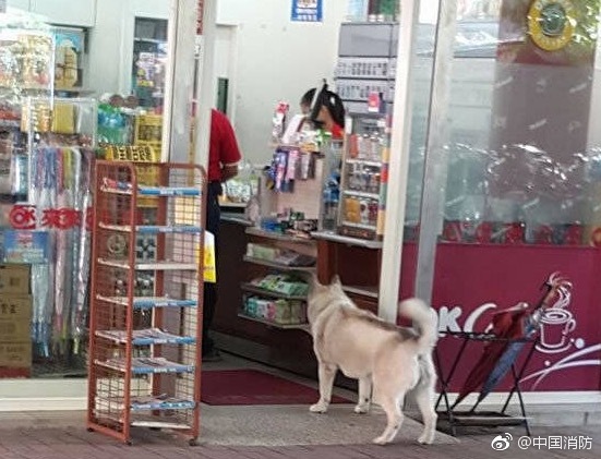 Xxxx柔术裸体杂技Xxxx