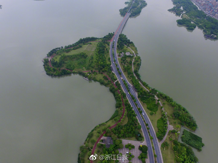 adc年龄确认大驾光临大象的亮点