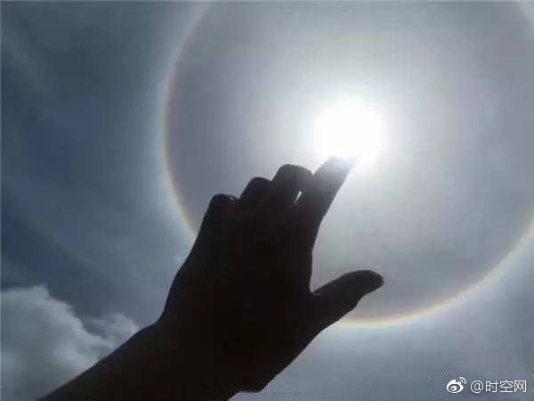 大象焦依人在钱