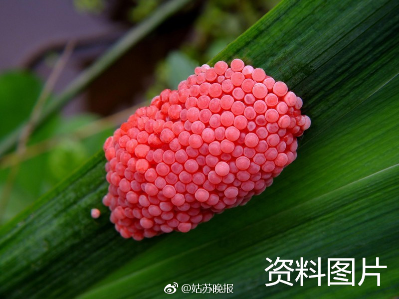 黄色三级Av片