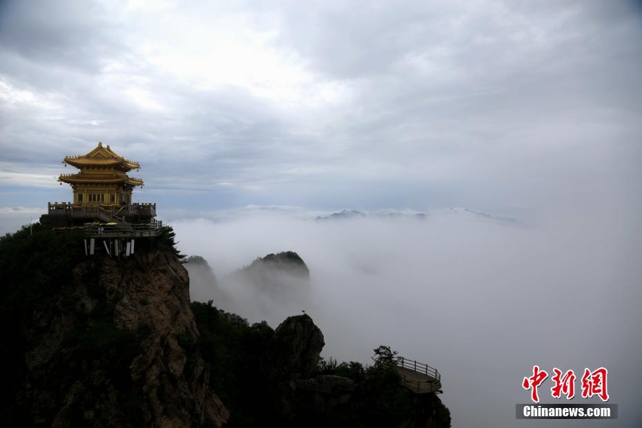 偷拍黄色网