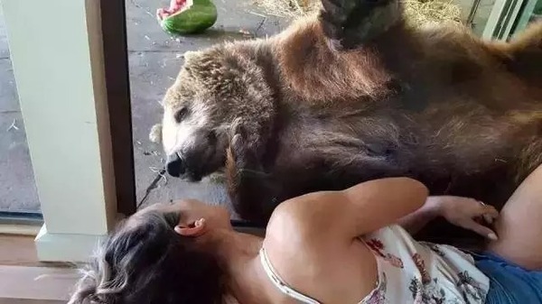 天天弄