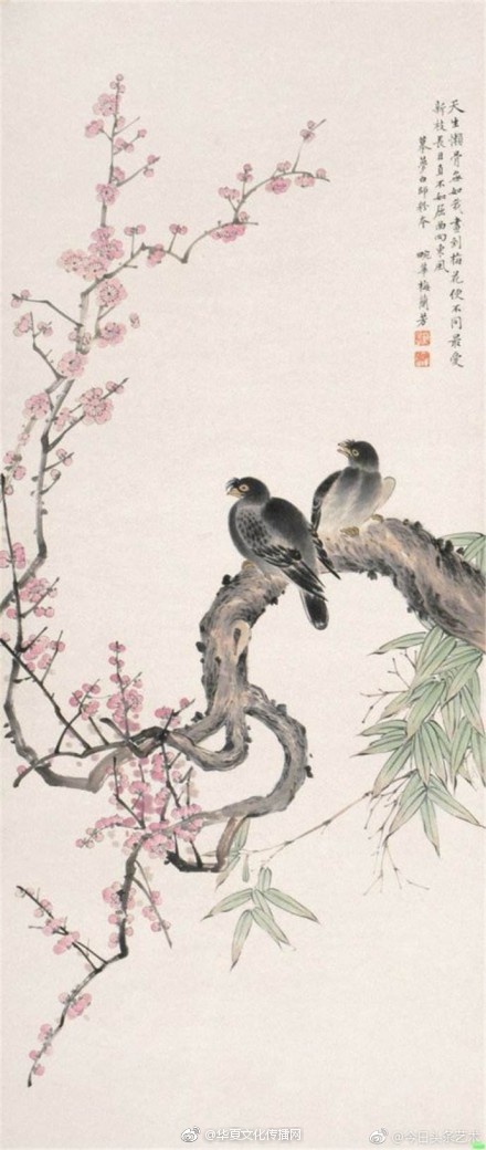 中国农村老年肥逼高潮黄视频