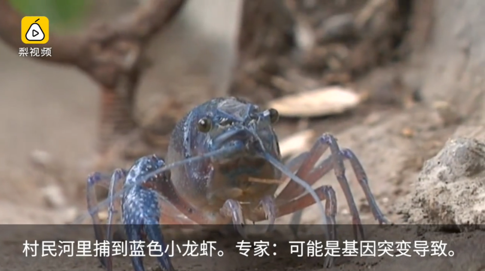 91丨国产丨秘 3D黑料