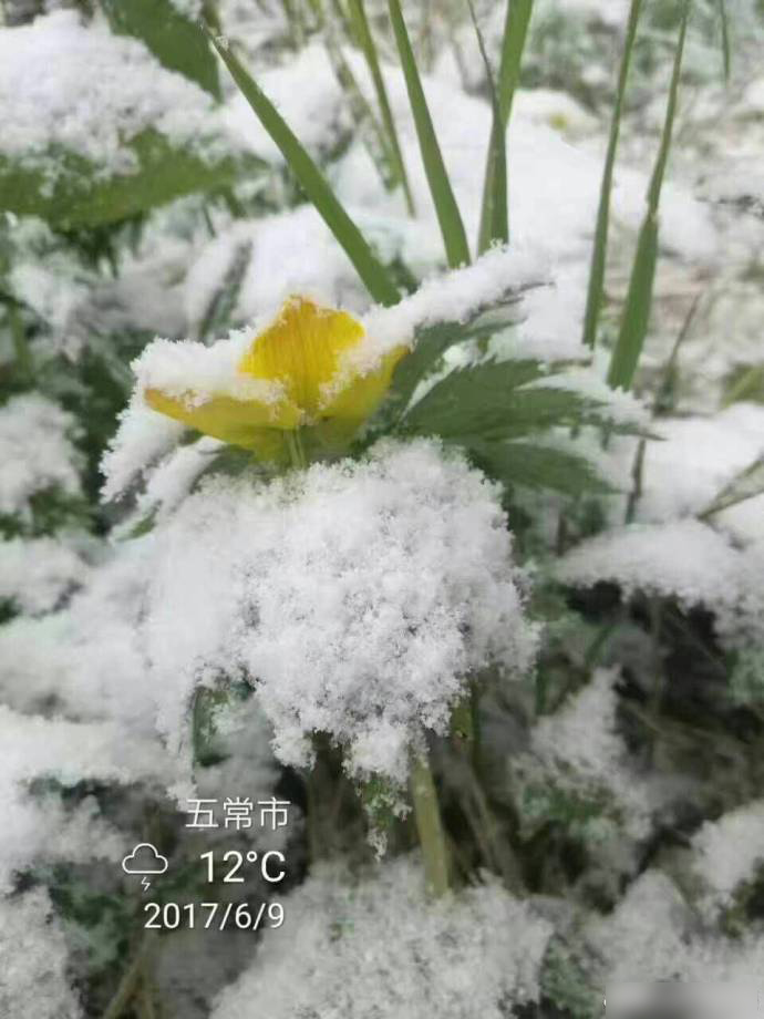 免费 在线 观看 色情 片