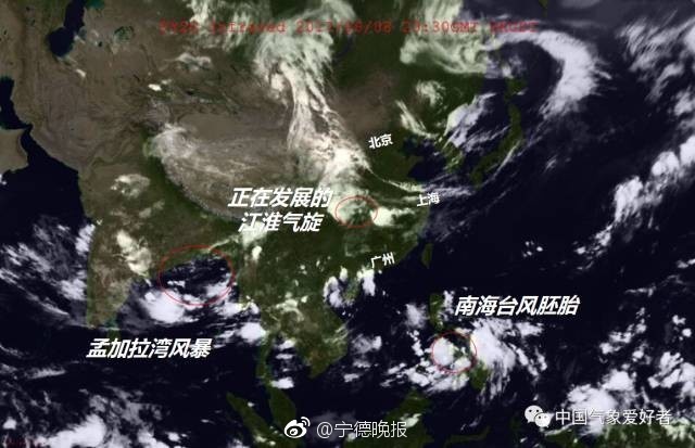 金桔直播