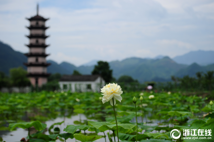 日本无码H肉动漫在线先下载