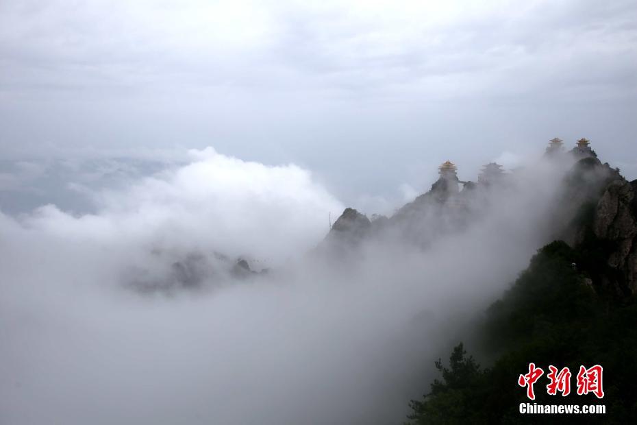 黄色 高清 电影