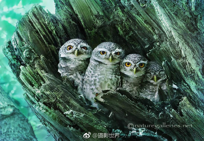 亚洲国产天堂