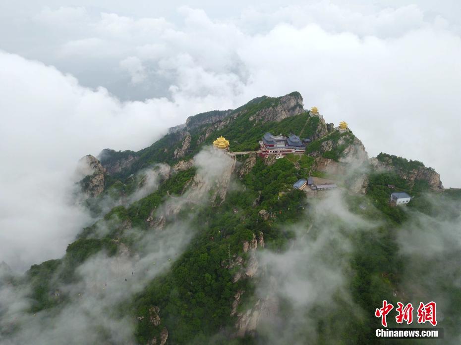 免费看黄色大片