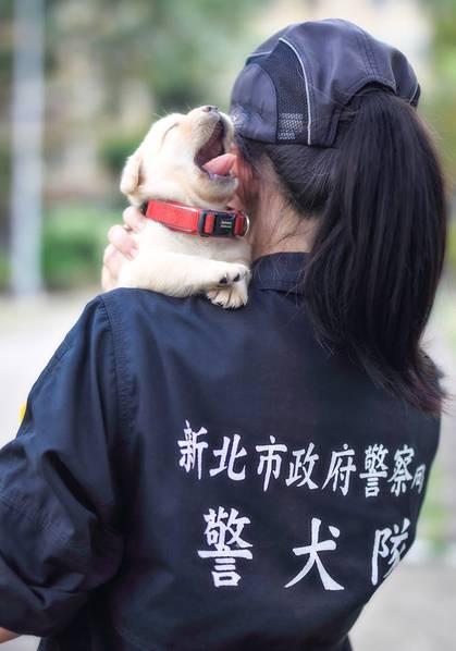 渣男