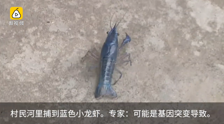 迷你裙