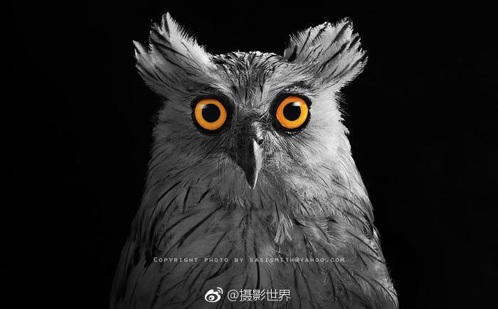 波多野结衣与黑鬼多p