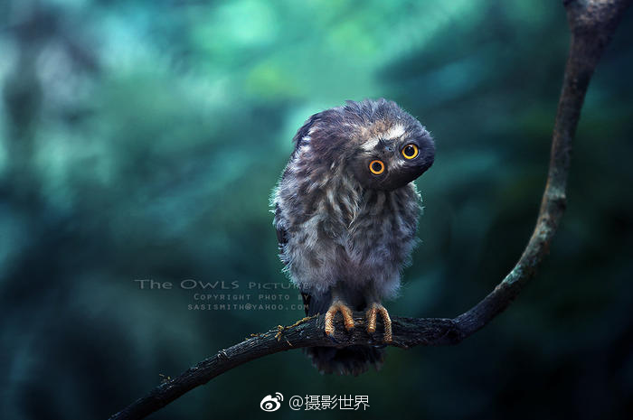 成人 电影 片段