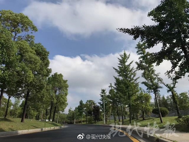 别揉我奶头