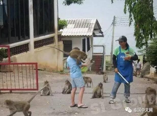 精品一区二区明星换脸刘亦菲写真