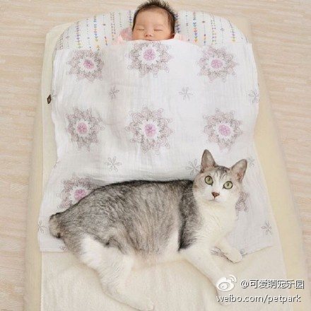 四虎影成人精品A片