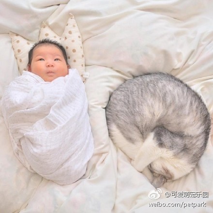 偷拍自拍亚洲